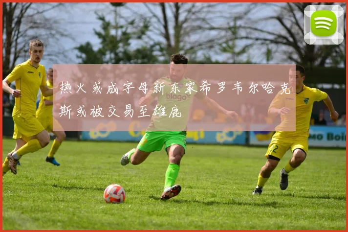 热火或成字母新东家希罗韦尔哈克斯或被交易至雄鹿