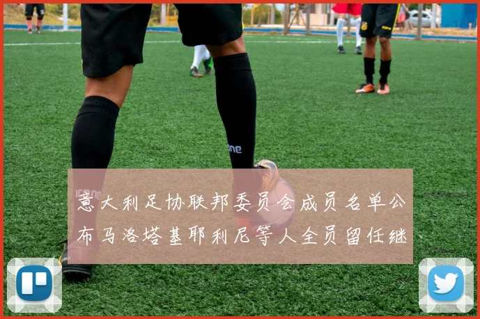 意大利足协联邦委员会成员名单公布马洛塔基耶利尼等人全员留任继续服务